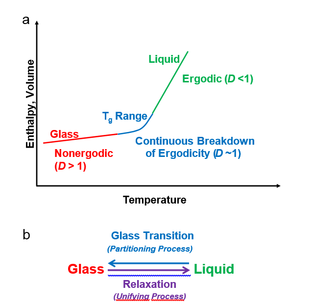 a) The glass transition can be observed by cooling a liquid to a sufficiently low temperature, provided that crystallization is avoided. The Deborah number, D. The glass transition involves a continuous breakdown of ergodicity as the ergodic liquid at high temperature becomes trapped  in a subset of configurational phase space in the nonergodic glassy state at low temperatures.  b) The glass transition is termed a partitioning process since configurational degrees of freedom are lost as the system becomes kinetically trapped  in the nonergodic glassy state. The opposite process, structural relaxation, involves the spontaneous lifting of this kinetic constraint, allowing the  system to explore additional configurational degrees of freedom. This is termed a unifying process.